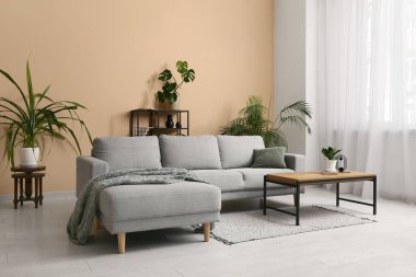 Gri kanepesi, çiçekleri, sehpası ve raf ünitesi olan oturma odasının içinde.