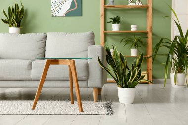 Modern oturma odasının içinde rahat bir kanepe, masa ve bitkiler.