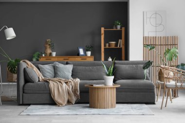 Rahat kanepe, kahve masası ve ev bitkileri.