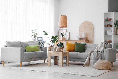 Gri kanepeler, masa ve Monstera bitkileriyle aydınlık oturma odasının içinde.