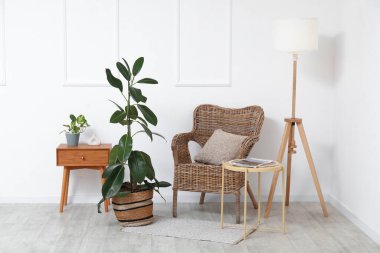 Aydınlık oturma odasının içinde koltuk, lamba ve Ficus benjamina var.