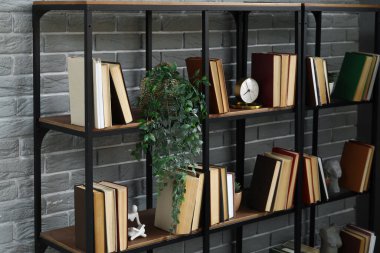 Gri tuğla duvarın yanında bitkisi olan kitaplık