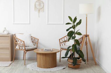 Koltukları, masası ve Ficus benjamina olan bir oturma odası.