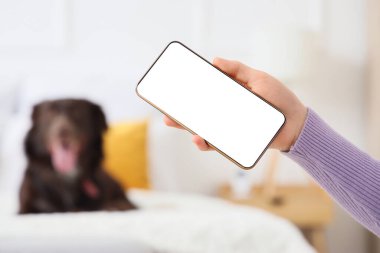 Cep telefonlu bir kadın yatak odasında köpeğini izliyor.