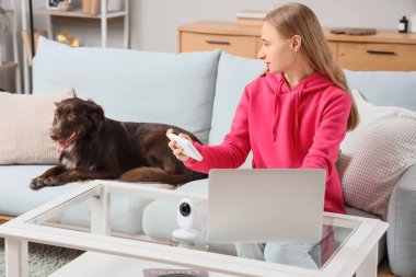 Eve kamera yerleştiren bir kadın ve sevimli bir köpek.