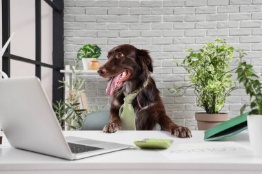 Ofiste kravatlı komik bir köpek.