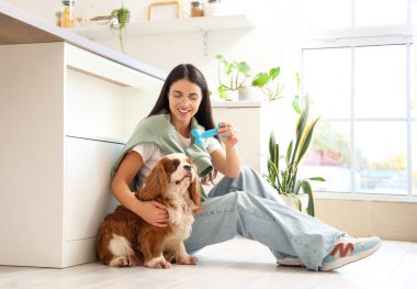 Güzel genç bir kadın, sevimli şövalye Kral Charles Spaniel 'le oynuyor.