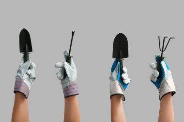 Gri arkaplanda bahçe aletleri olan kadın elleri