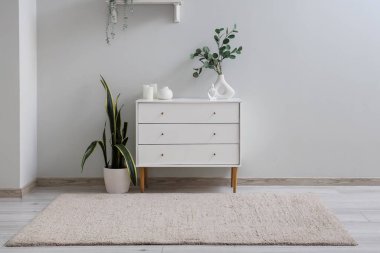 Yumuşak halı, çekmece ve bitkilerle aydınlatma odasının içi