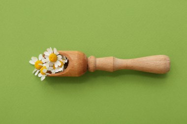 Yeşil arka planda papatya çiçekli ahşap kepçe. Üst görünüm