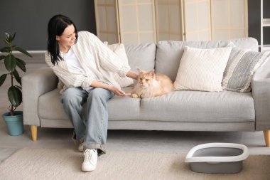 Güzel, genç, mutlu bir kadın ve evdeki kanepede uzanmış kedi kumuyla sevimli bir Maine Rakunu.