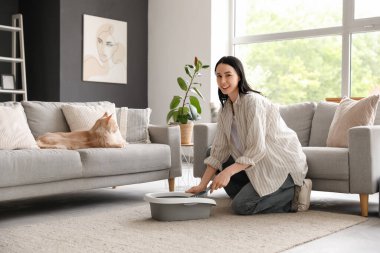 Güzel, genç ve mutlu bir kadın çöp kutusunu temizliyor ve sevimli Maine Rakun kedisi evdeki kanepede uzanıyor.