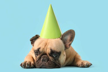 Mavi arka planda yeşil parti şapkalı sevimli Fransız bulldog 'u