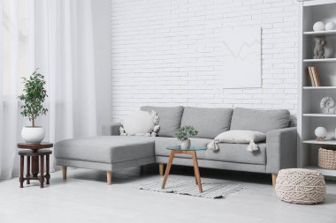 Koltuk, raf ünitesi, sehpa ve saksı oturma odasının iç tarafında.