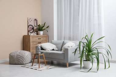 Oturma odasındaki kanepe, kahve masası, puf ve saksı.