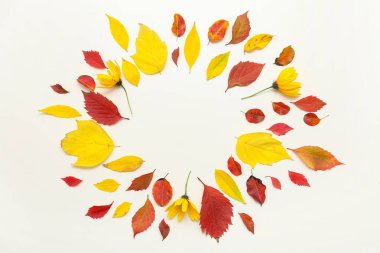 Sonbahar yapraklarından yapılmış çerçeve ve beyaz arka planda güzel çiçekler
