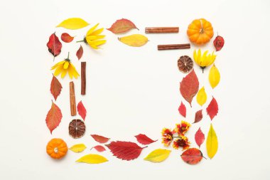 Taze balkabaklarıyla sonbahar yapraklarından yapılmış çerçeve, kurutulmuş portakal dilimleri, tarçın ve beyaz arka planda güzel çiçekler