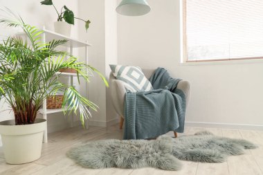 Koltuk, raf ünitesi ve beyaz duvarın yanındaki ev bitkisi.