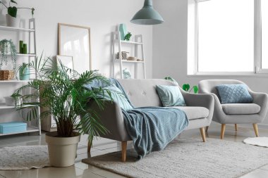 Oturma odasının iç tarafında rahat bir kanepe, koltuk ve çiçek var.