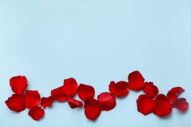 Mavi arka planda güzel kırmızı gül yaprakları