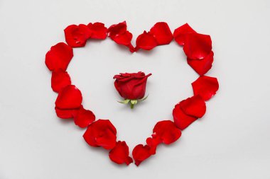 Gri arkaplanda güzel kırmızı gül yapraklarından yapılmış kalp