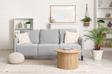 Gri kanepesi ve farklı bitkileri olan modern şık oturma odasının içinde.