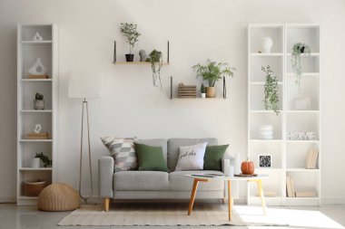 Konforlu kanepe, sehpa, raflar ve oturma odasının içindeki lamba.