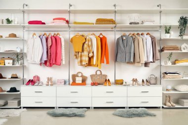 Dolabında raflar, kadın giysileri ve aksesuarlar olan gardırop.