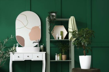 Lavabosu, raf ünitesi ve bitkileri olan banyonun içi.