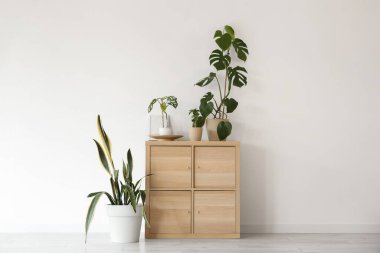 Odadaki ışık duvarının yanında yeşil bitkiler olan tuvalet