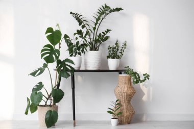 Odasında yeşil bitkiler olan bir masa.