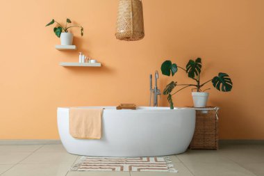 Küveti ve rafları olan şık bir banyo.