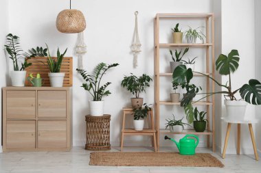 Bitkiler, klozet ve raf üniteli bahçıvan atölyesi.