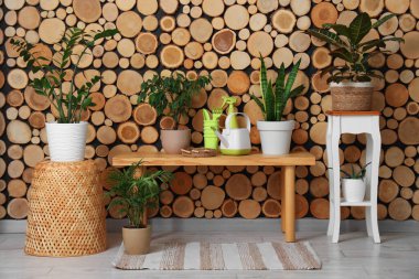 Ahşap tezgah, bahçe aletleri ve bitkilerle dolu atölyenin içi