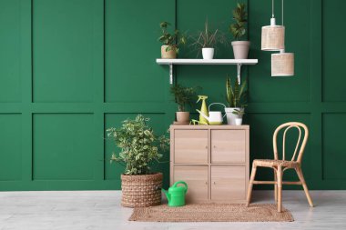 Tuvaleti, rafı ve bitkileri olan bahçıvan atölyesinin içi.