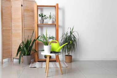 Bahçıvan atölyesinin içinde bitkiler, raf ünitesi ve masa var.