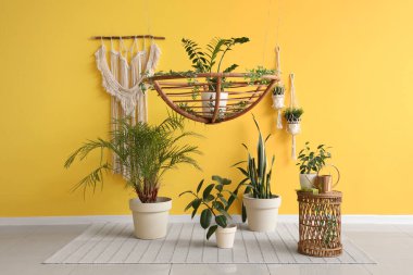 İçinde yeşil bitkiler ve masa olan bir oda.