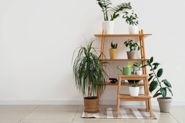 Tabureli raf ünitesi, bahçe aletleri ve ışık duvarının yanındaki bitkiler.