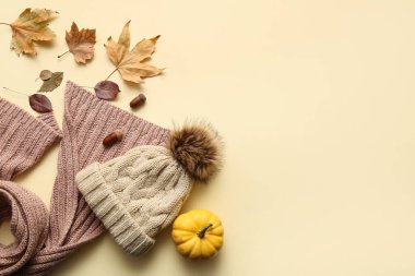 Çocuk şapkası, eşarp, balkabağı ve düşmüş yapraklı kompozisyon