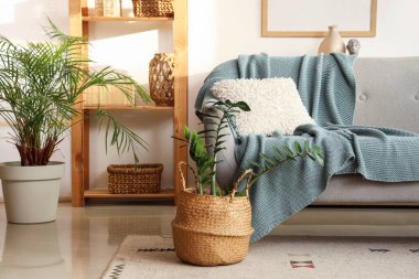 Gri kanepeli, raf üniteli ve bitkilerli oturma odasının içinde.