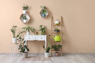 İçinde masa, yeşil bitkiler ve su bidonları olan bir oda.