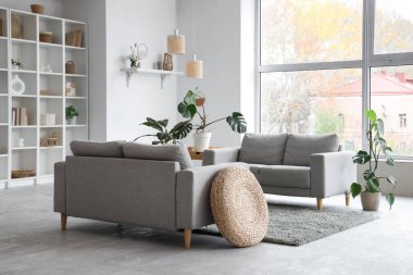 Gri kanepeleri, raf ünitesi ve bitkileriyle aydınlık oturma odasının içinde.