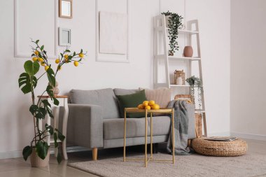 Kanepe, raf ünitesi ve limonlu aydınlık oturma odasının içi.