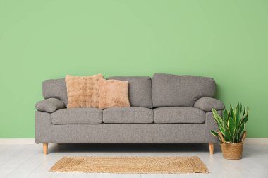 Yeşil duvarın yanında rahat kanepesi ve çiçekli şık bir oturma odası.