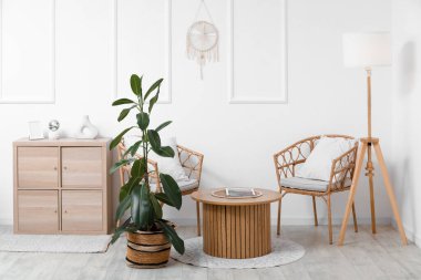 Koltukları, masası ve Ficus benjamina olan bir oturma odası.