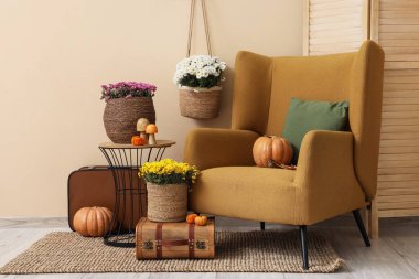 Koltuk, balkabağı ve kasımpatı çiçekleri ile bej duvarın yanında güzel bir sonbahar kompozisyonu