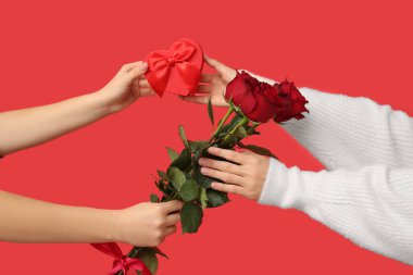 Genç kadınlar hediye kutusuyla kırmızı arka planda gül çiçeklerini değiş tokuş ediyorlar. Sevgililer Günü kutlaması