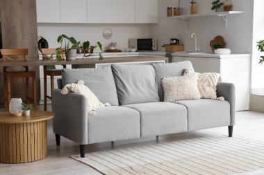 Mutfağın içi gri kanepe, tezgah ve bitkilerle dolu.