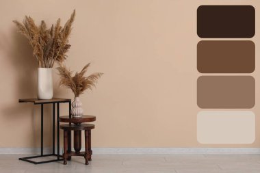 Odadaki bej duvarın yanında vazolardaki çimler. Farklı renk desenleri