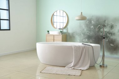 Interior of bathroom with mold on wall clipart